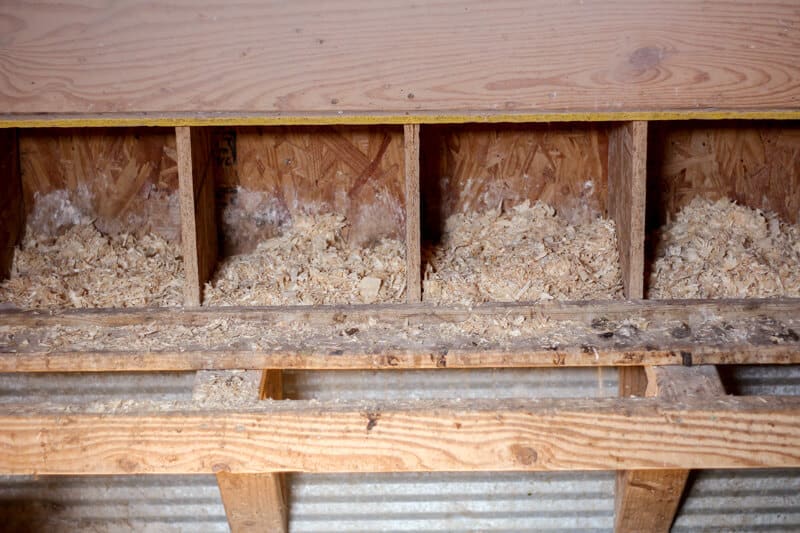 chicken nesting boxes with curtains